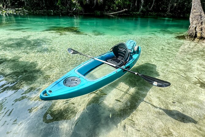 Kayak Rental w/Cinematic Memories  (Optional)